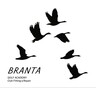 BRANTA GOLF ACADEMY CLUB FITTING & REPAIR